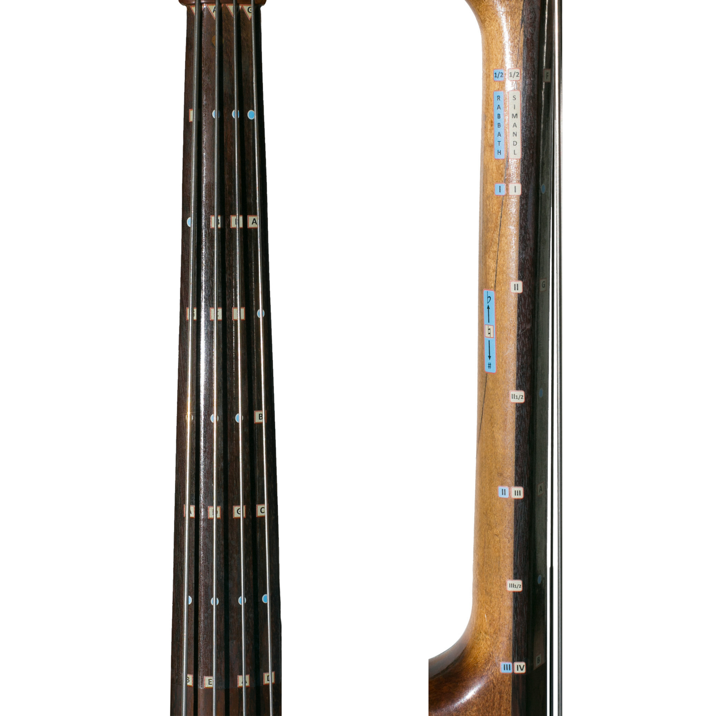 Upright Bass All Notes Guide
