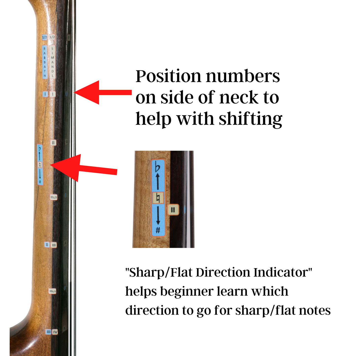 Upright Bass All Notes Guide