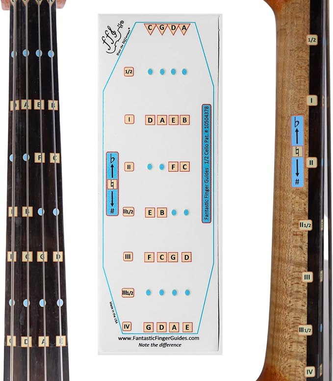 Cello All Notes Guide