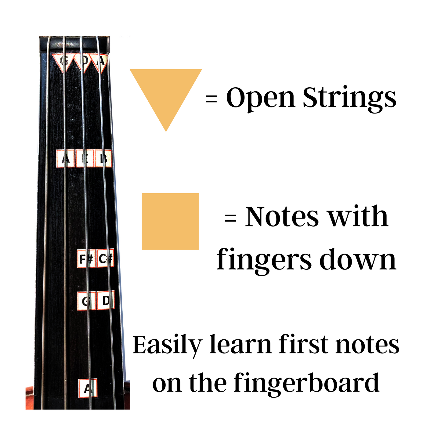 Viola D Major Beginner Guide