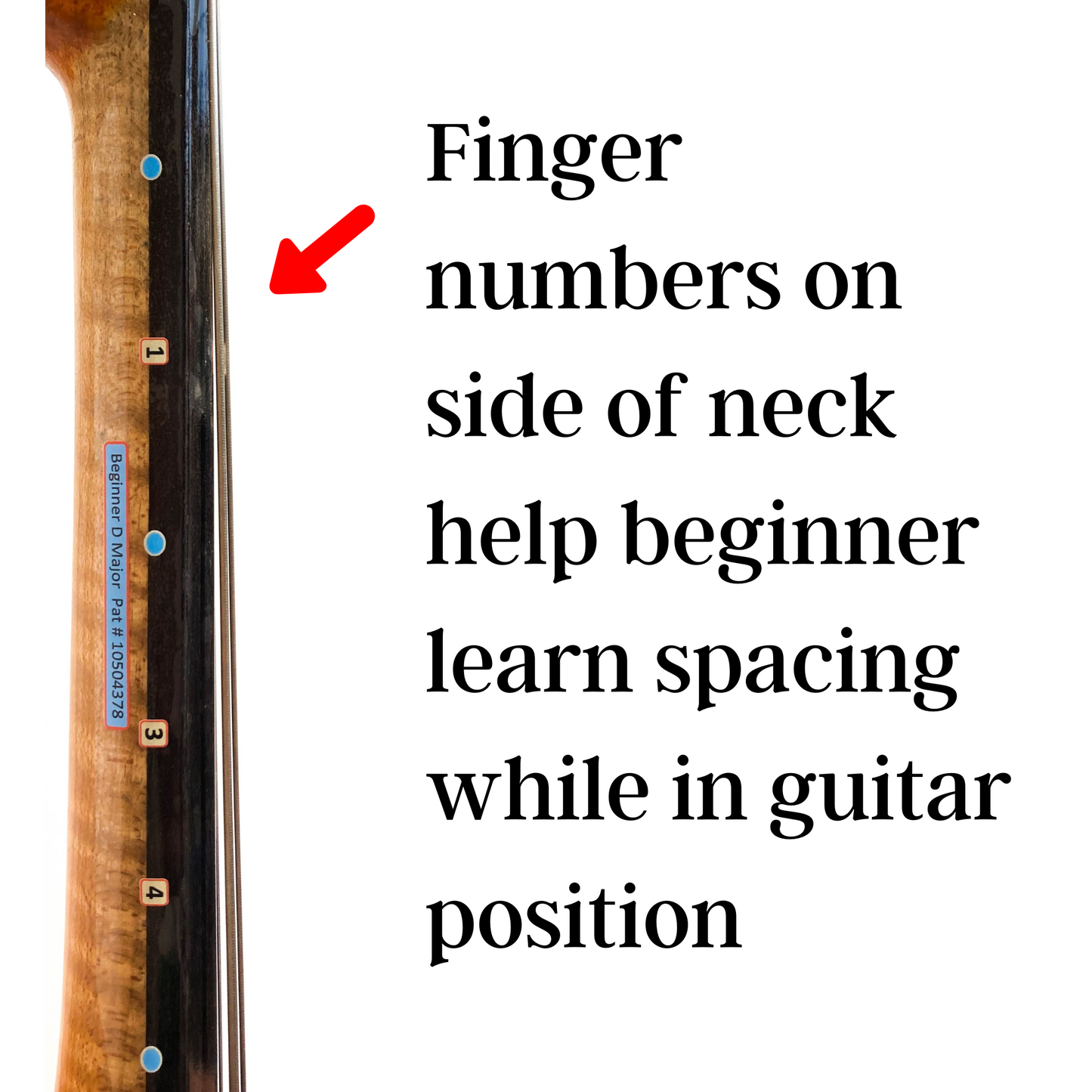 Cello D Major Beginner Guide